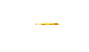 Gold Professional Straight Tweezer (with grip)